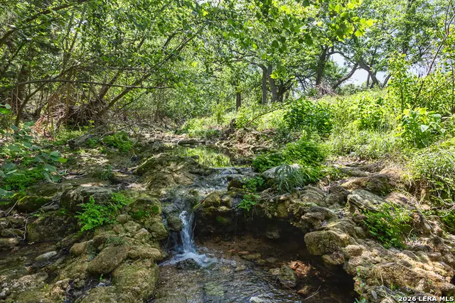 127 El Nopal, Blanco, TX 78606 - #2