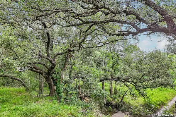 1617 Blue Creek Rd, La Vernia, TX 78121