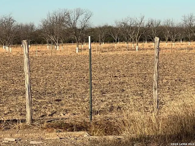 LOT A Fm 1908, Quemado, TX 78877 - #1