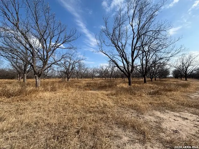 330 Stockley Rd, Quemado, TX 78877 - #3