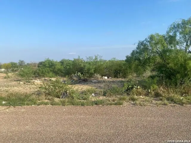 231 Ghost Rider Dr, Eagle Pass, TX 78852 - #2