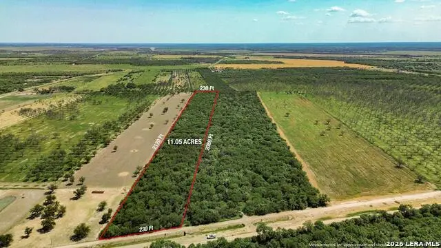 1022 Silver Bridge Rd, Quemado, TX 78877 - #1