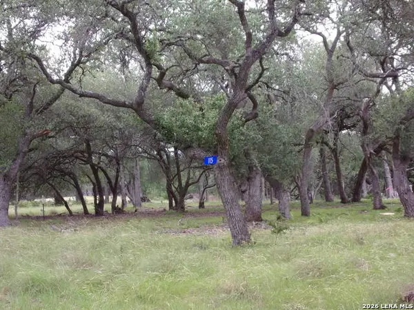 115 La Luna Dr, Blanco, TX 78606