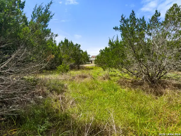 541 Henderson Drive, Spring Branch, TX 78070