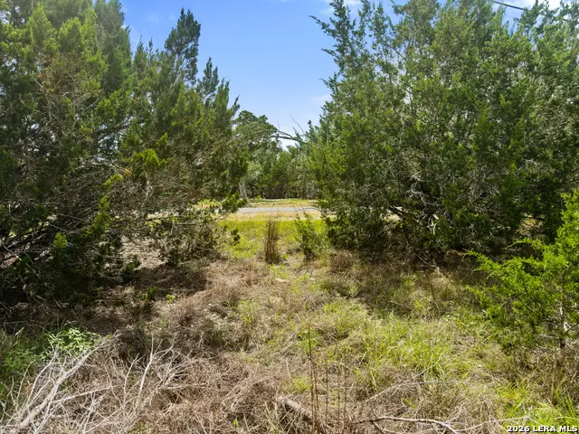 541 Henderson Drive, Spring Branch, TX 78070 - #3