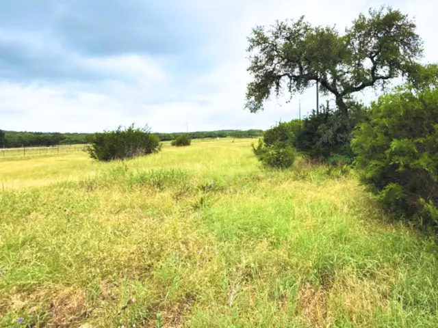 420 George Dolson, Blanco, TX 78606 - #3
