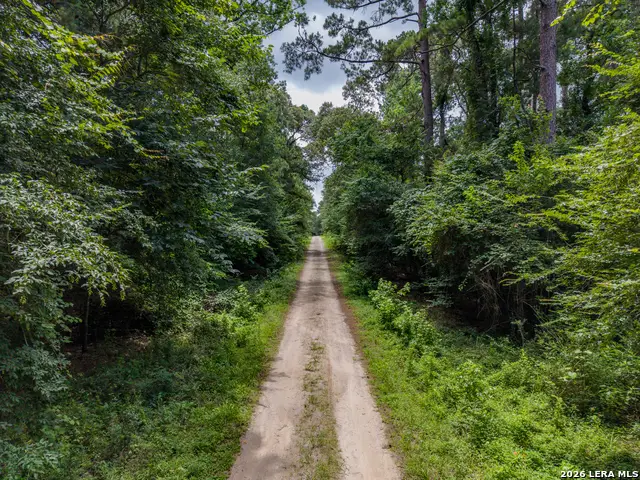 TBD Zapata Way, Willis, TX 77378 - #2