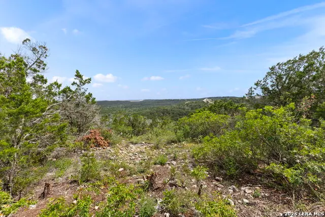 405 County Road 2744, Mico, TX 78056 - #3