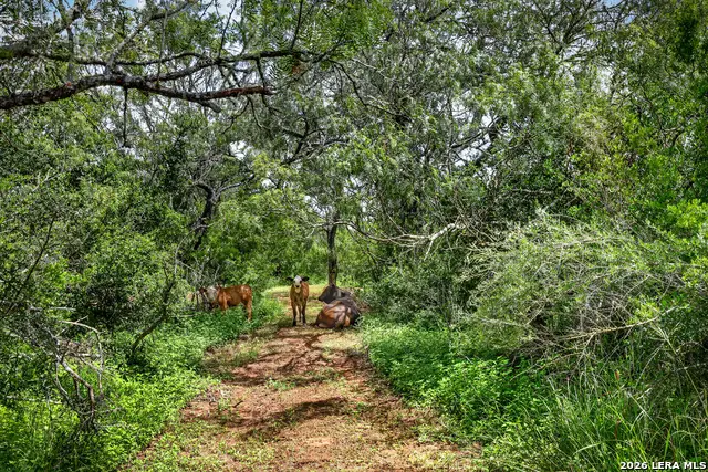 622 County Road 460, Stockdale, TX 78160 - #3