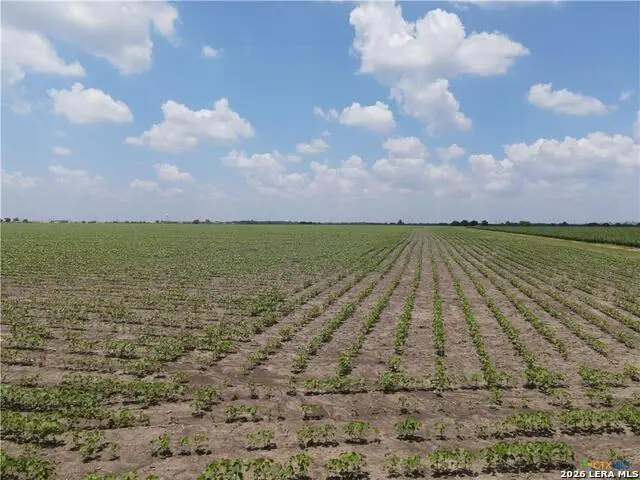 TBD Willmann, Seguin, TX 78155 - #2