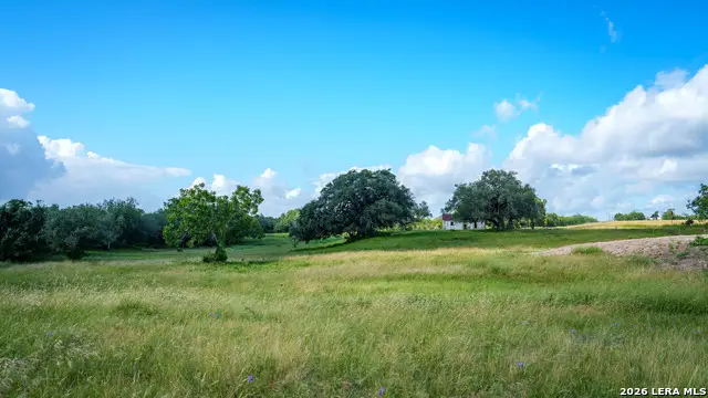 43 ACRES Fm 885, Runge, TX 78151 - #3