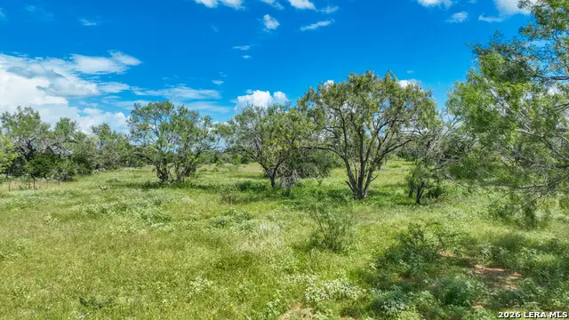0000 Cr 307, Jourdanton, TX 78026 - #3
