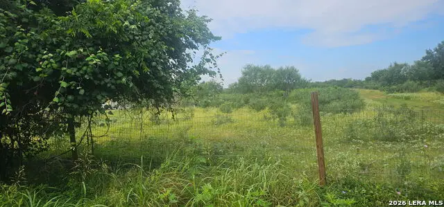 13808 LOT 2 Greenwood Rd, Atascosa, TX 78002 - #2
