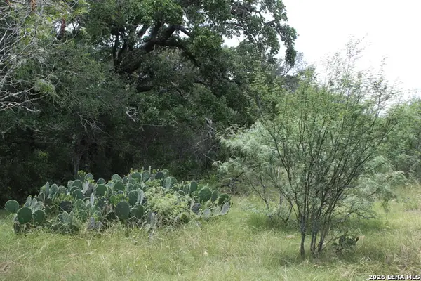 TBD Fm 3353, Seguin, TX 78155