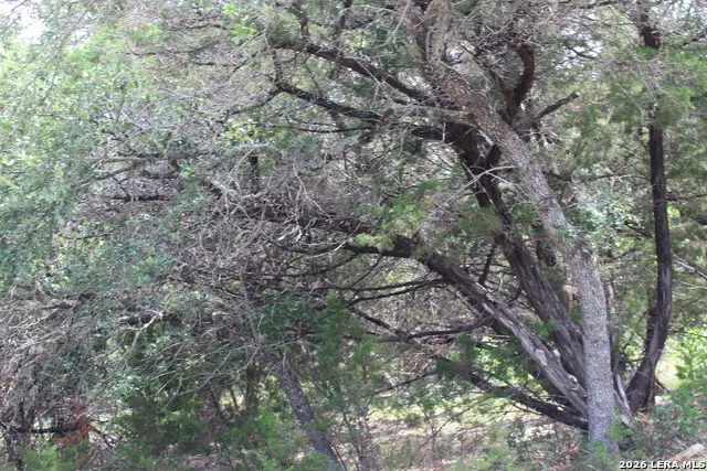 TBD Colleen, Canyon Lake, TX 78133 - #2