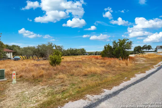225 Levi English, Blanco, TX 78606 - #2