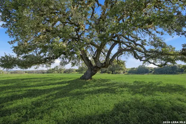 3200 Auxiliary Airport Road, Seguin, TX 78155 - #2