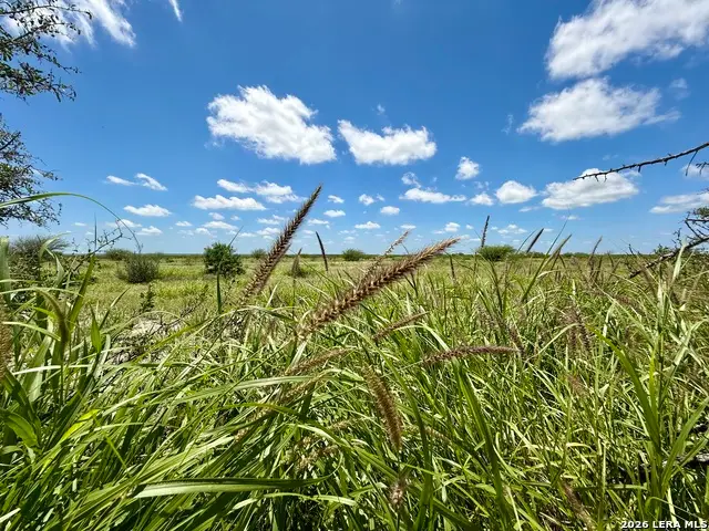 0 Cr 235, Three Rivers, TX 78071 - #1