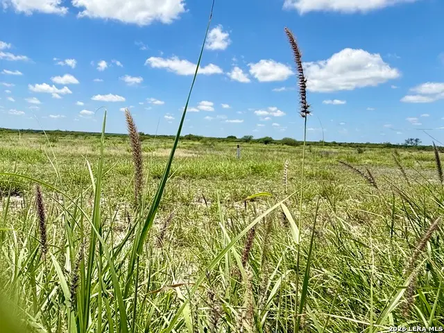 0 Cr 235, Three Rivers, TX 78071 - #3