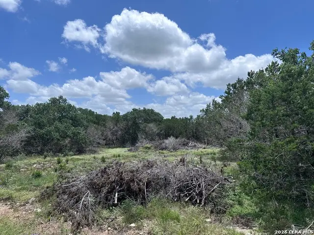 947 Serene Park Dr, Spring Branch, TX 78070 - #2