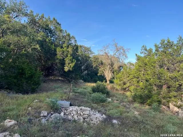 1615 Forest Lake, Spring Branch, TX 78070 - #1