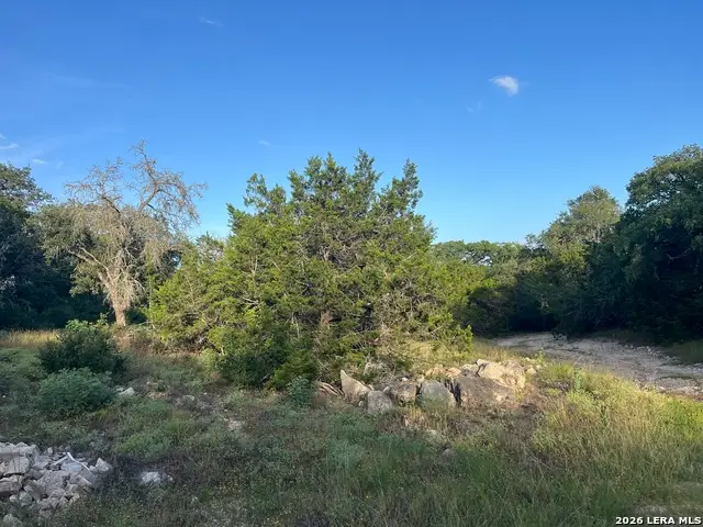 1615 Forest Lake, Spring Branch, TX 78070 - #2