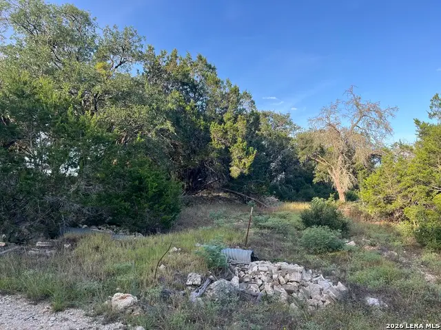 1615 Forest Lake, Spring Branch, TX 78070 - #3