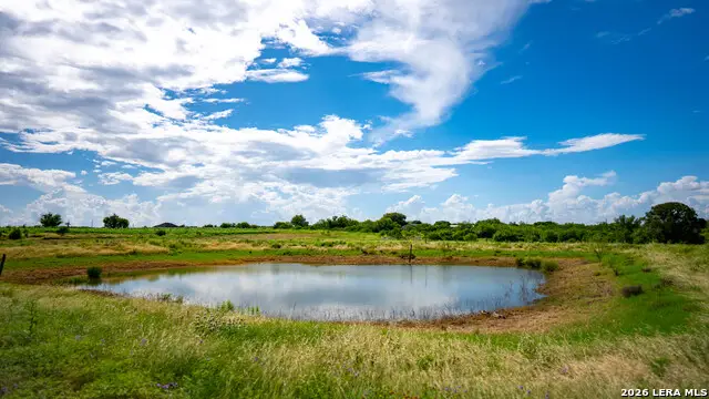 173401 Fargoer, Marion, TX 78124 - #1