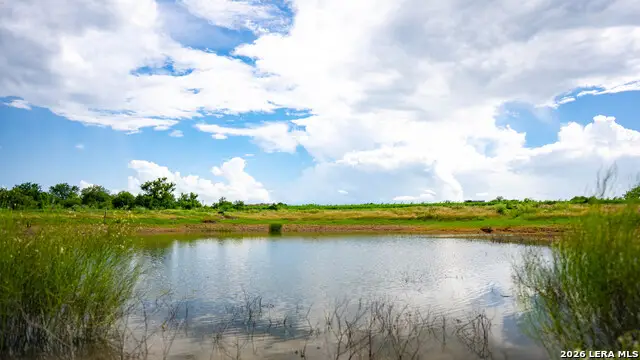 173401 Fargoer, Marion, TX 78124 - #2
