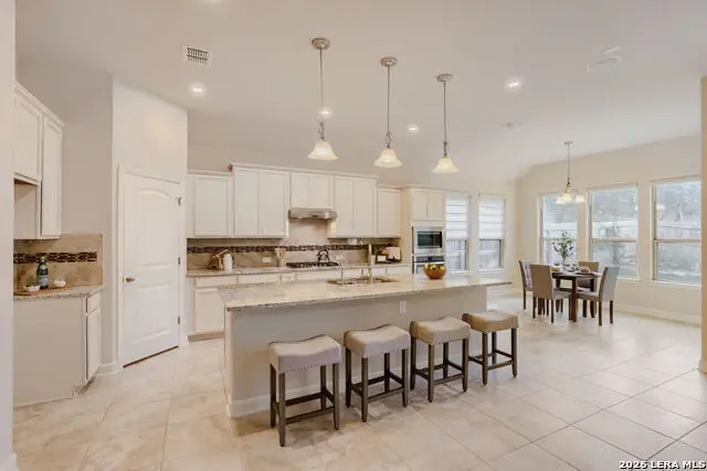 454 Scenic Lullaby, Spring Branch, TX 78070 - #2