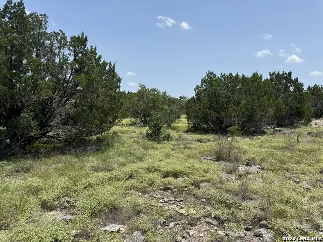 232 High Point Cir, Spring Branch, TX 78070 - #2