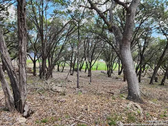 LOT 18 Forest Lake Dr, Spring Branch, TX 78070 - #3