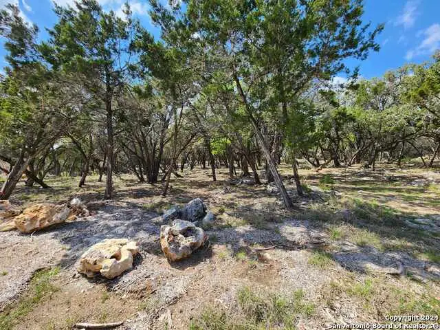 LOT 19 Forest Lake Dr, Spring Branch, TX 78070 - #1