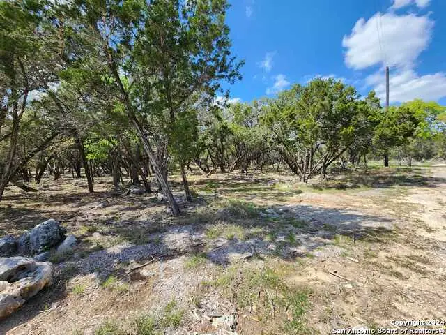 LOT 19 Forest Lake Dr, Spring Branch, TX 78070 - #3