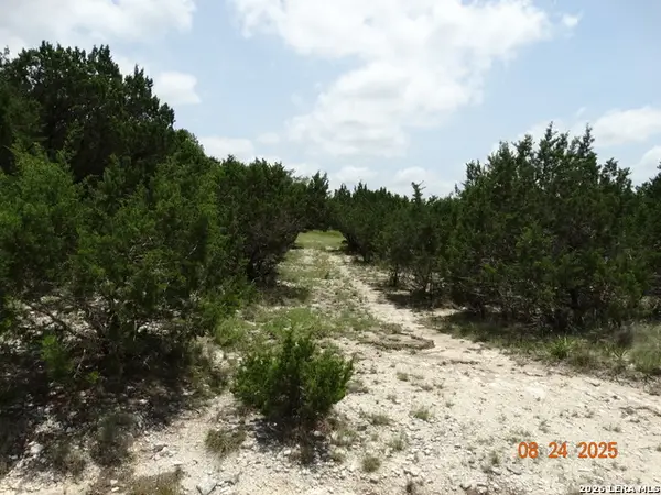 9942 Circle Hill, San Antonio, TX 78255
