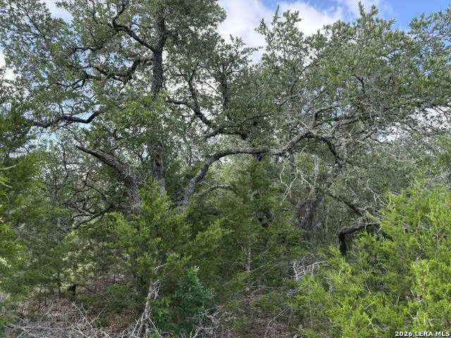 351 Ridge Pt, Spring Branch, TX 78070 - #1