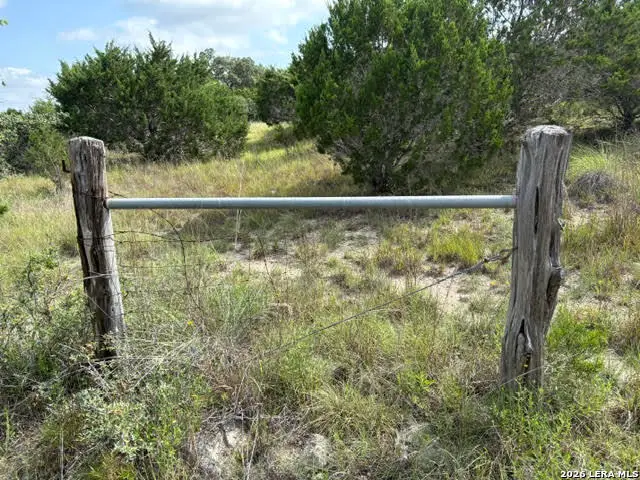 351 Ridge Pt, Spring Branch, TX 78070 - #2
