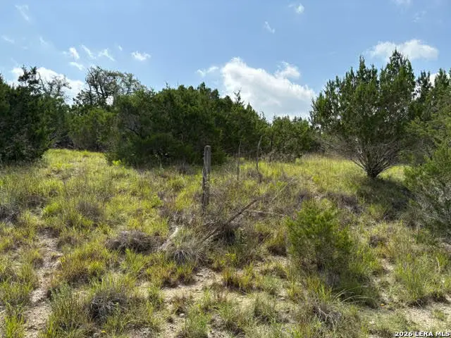 351 Ridge Pt, Spring Branch, TX 78070 - #3