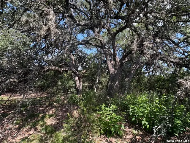 LOT 2025 Split Ridge, Spring Branch, TX 78070 - #1