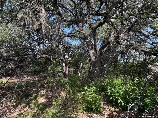 LOT 2025 Split Ridge, Spring Branch, TX 78070