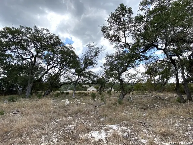 140 Fly Line Trl, New Braunfels, TX 78132 - #2