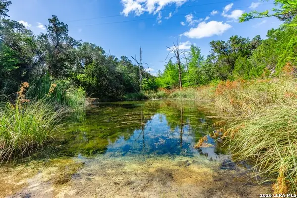 600 Evans Creek Road, Vanderpool, TX 78885