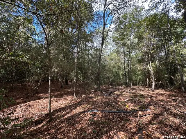 467 Jape Massingill Ln, Diboll, TX 75941 - #1