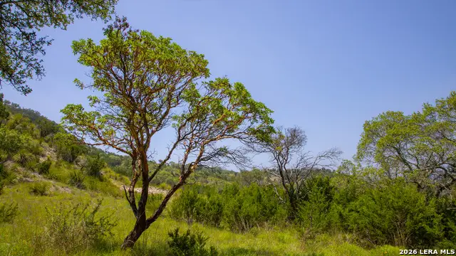 000 Blackbuck Trail, Pipe Creek, TX 78063 - #3