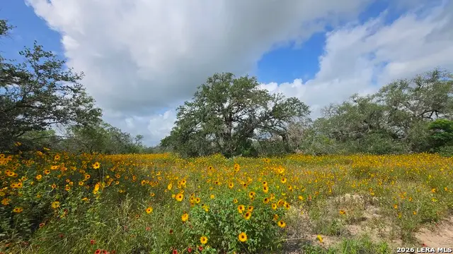 289 Zigmond Rd, Poteet, TX 78065 - #2