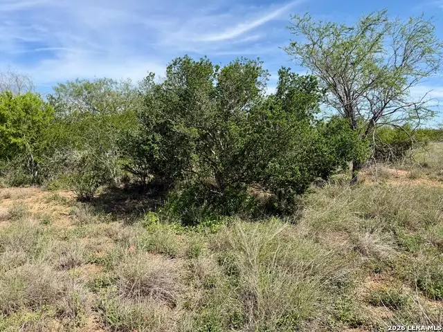 0 County Road 147, George West, TX 78022 - #1