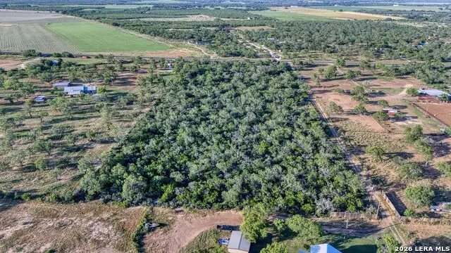 1181 State Highway 173, Bigfoot, TX 78005 - #1