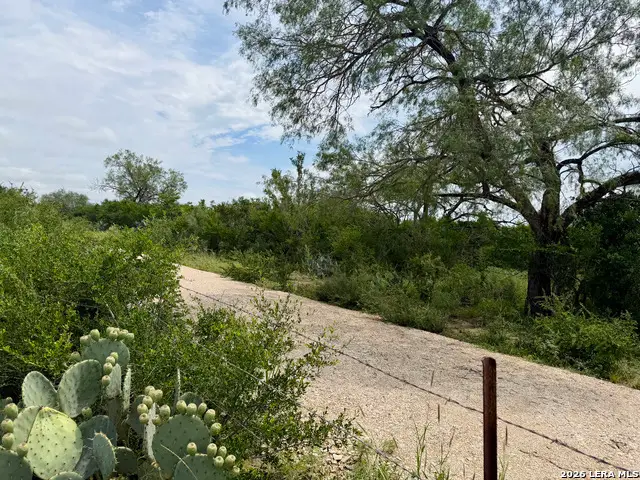 2018 Strawberry City Rd, Poteet, TX 78065 - #2