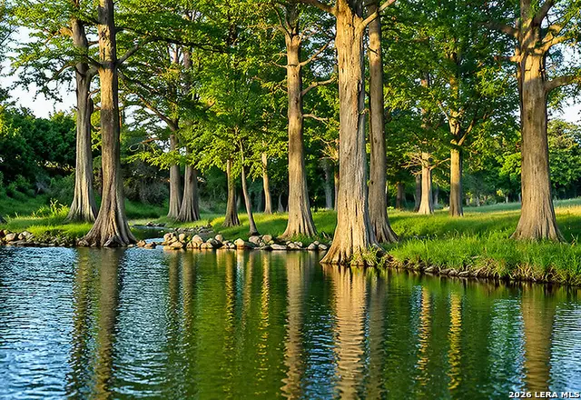 195 Coldwater Dr E Lot 13, Center Point, TX 78010 - #3