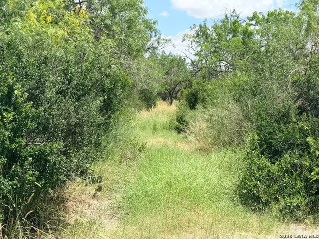 TBD Fm 791, Campbellton, TX 78008 - #3